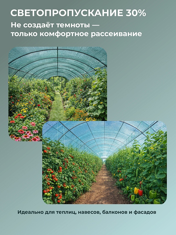 /upload/resize_cache/iblock/789/800_800_0/w2xg2jcussulq68nrd2x4x0gkzpat2ww.jpg