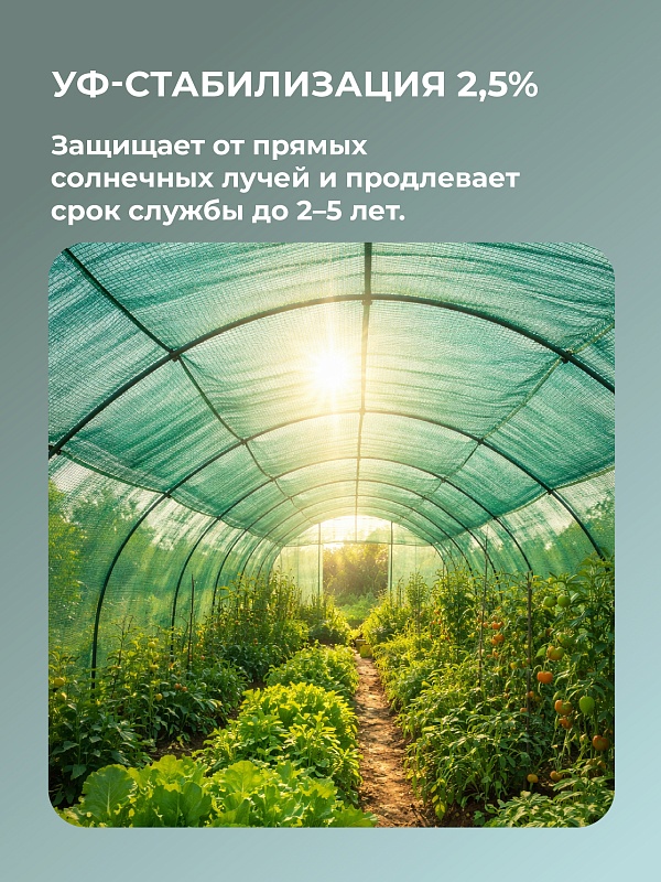 /upload/resize_cache/iblock/cbd/800_800_0/9g82z7yvx5pt6oxj11lf32pto406i7nd.jpg